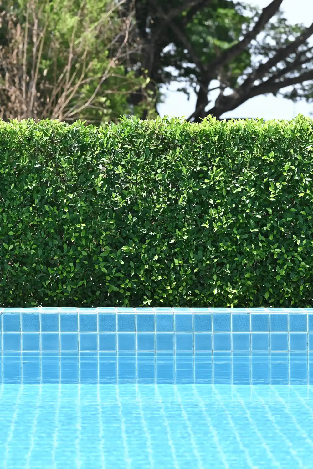 Zona Piscine, piscine fuori terra